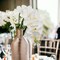 12-Pack: Real Touch White Phalaenopsis Orchid Stem, Floral Home by Artificial Flowers
